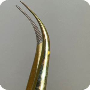 PINZA PROFESIONAL CURVA CLASICA (Dorada) N#1