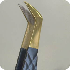 Pinza profesional Hacha (Negro con dorado) N#2