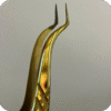 Dorado