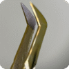 Dorado