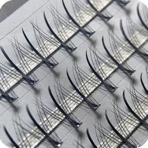 Pestañas por Punto 40D curva D, 8mm Lash janes fibra de seda