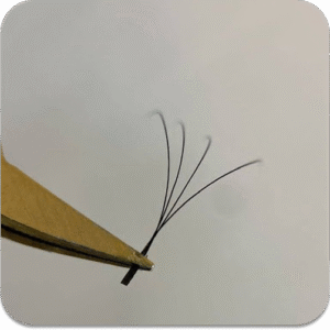 PESTAÑAS 4D W CURVA D 0.07 (9MM–14MM) – JANES INSUMOS